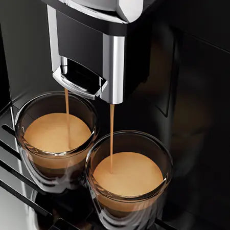 Gaggia Anima Barista Plus – BrewFix